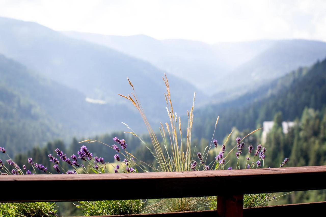 Bergblick Ruhe Und Aussicht Auf 1100M Apartamento St. Lorenzen ob Murau Exterior foto